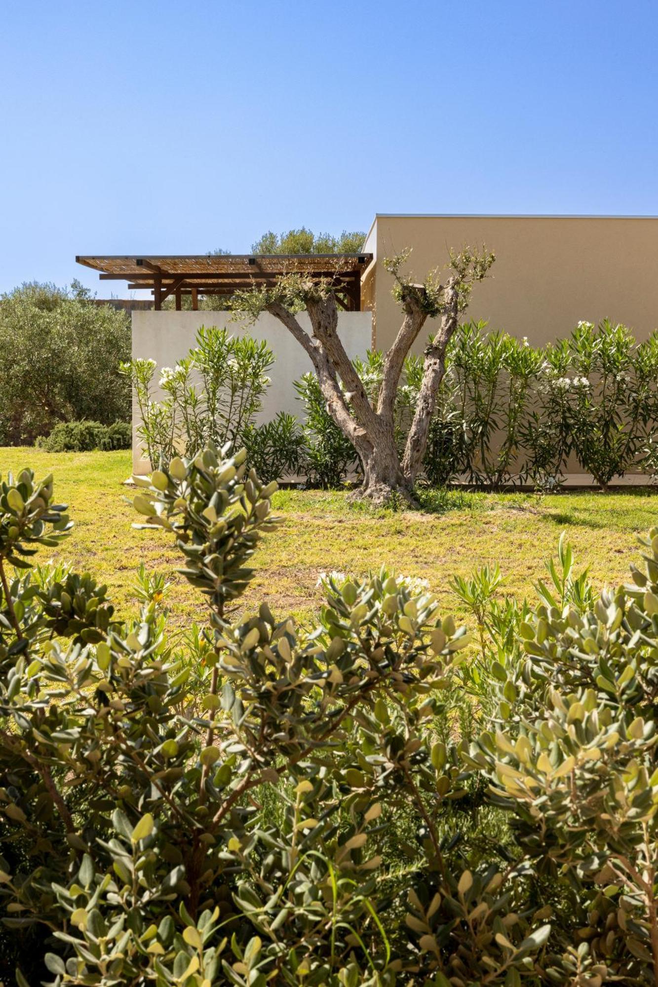 Agua Green 3*
